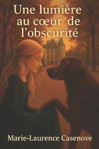 bokomslag lumière au coeur de l'obscurité