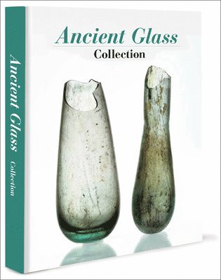 Peter Cosyns, Annemie De Vos, Eugène Warmenbol, Eugene Warmenbol - Ancient Glass, Inbunden