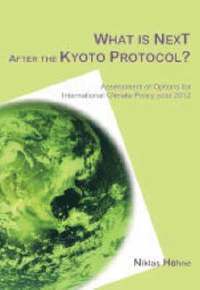 bokomslag What is Next After the Kyoto Protocol?