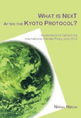 bokomslag What is Next After the Kyoto Protocol?