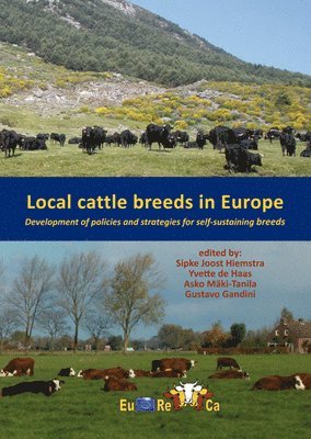 Sipke Joost Hiemstra, Yvette de Haas, Asko Mäki-Tanila, Gustavo Gandini - Local cattle breeds in Europe, Häftad