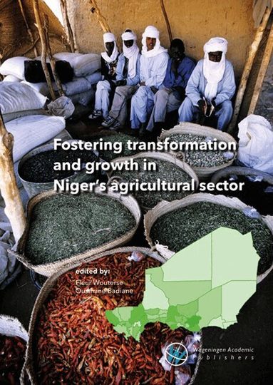 Fleur Wouters, Ousmane Badiane - Fostering Transformation and Growth in Niger's Agricultural Sector, Häftad