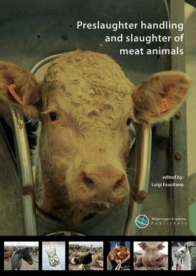 Luigi Faucitano - Preslaughter handling and slaughter of meat animals, Inbunden