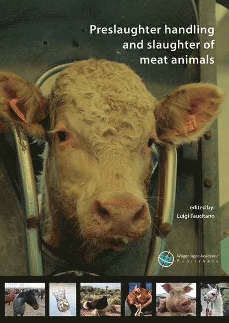 Preslaughter handling and slaughter of meat animals