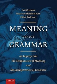 bokomslag Meaning Versus Grammar