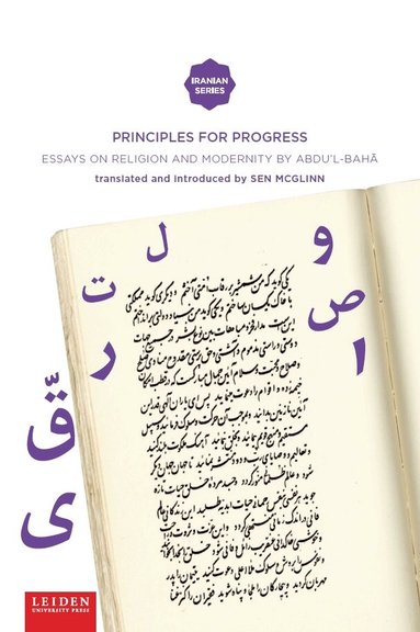Sen McGlinn - Principles for Progress, Häftad
