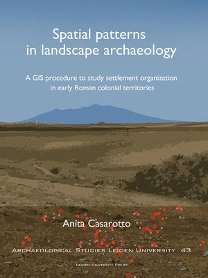 bokomslag Spatial patterns in landscape archaeology