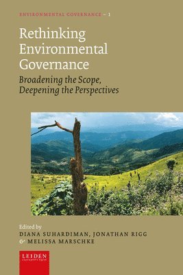 bokomslag Rethinking Environmental Governance