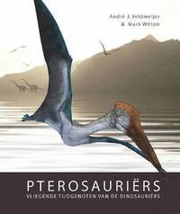 bokomslag Pterosauriers