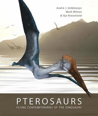 bokomslag Pterosaurs