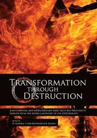 bokomslag Transformation through Destruction