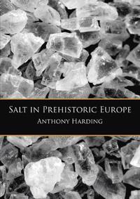 bokomslag Salt in Prehistoric Europe