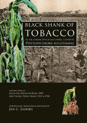 bokomslag Black Shank of Tobacco in the Former Dutch East Indies, caused by Phytophthora Nicotianae
