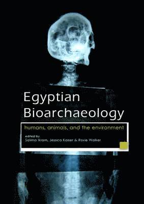 Egyptian Bioarchaeology 1