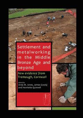 bokomslag Settlement and Metalworking in the Middle Bronze Age and Beyond