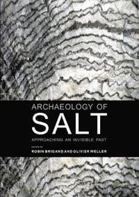 bokomslag Archaeology of Salt