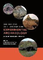 bokomslag The Life Cycle of Structures in Experimental Archaeology