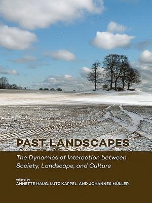 Annette Haug, Lutz Käppel, Johannes Müller - Past Landscapes, Inbunden