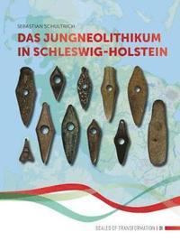 bokomslag Das Jungneolithikum in Schleswig-Holstein