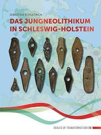 bokomslag Das Jungneolithikum in Schleswig-Holstein