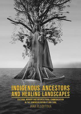 bokomslag Indigenous Ancestors and Healing Landscapes