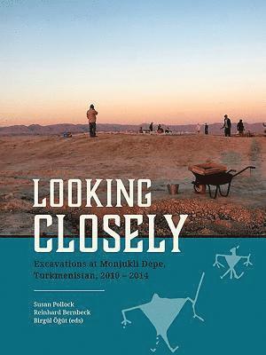 Susan Pollock, Reinhard Bernbeck, Birgül Öğüt - Looking Closely, Häftad