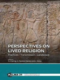 bokomslag Perspectives on Lived Religion