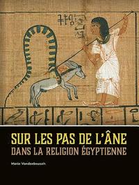 bokomslag Sur les pas de lne dans la religion gyptienne