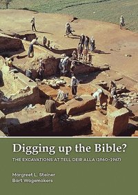 bokomslag Digging up the Bible?