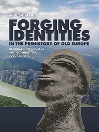 bokomslag Forging Identities in the prehistory of Old Europe