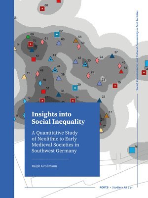 bokomslag Insights into Social Inequality