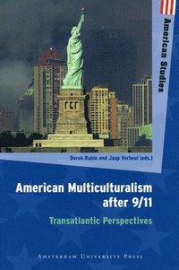 bokomslag American Multiculturalism After 9/11