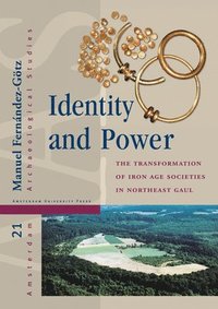 bokomslag Identity and Power