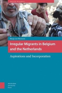 bokomslag Irregular Migrants in Belgium and the Netherlands