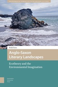 bokomslag Anglo-Saxon Literary Landscapes