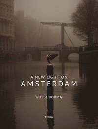 bokomslag A New Light on Amsterdam