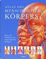 Atlas des menschlichen Körpers 1