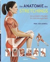 bokomslag Das Anatomie-Buch der Stretch Übungen