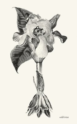 wild irises 1