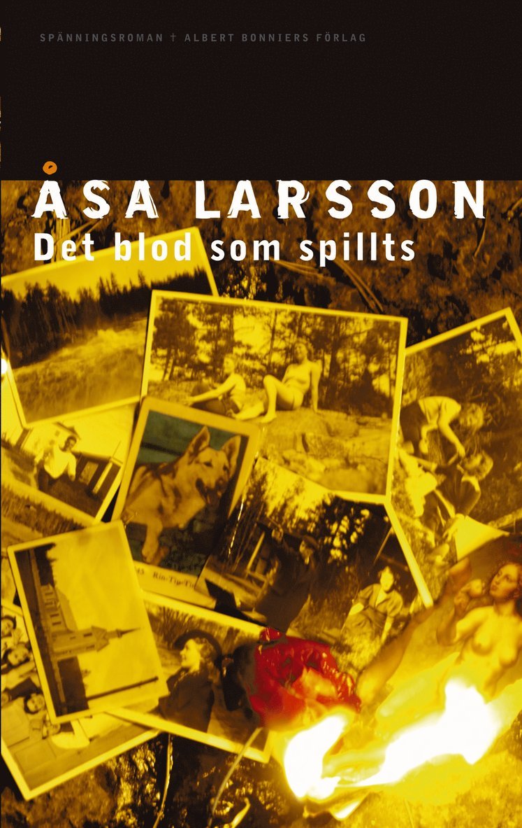 Det blod som spillts