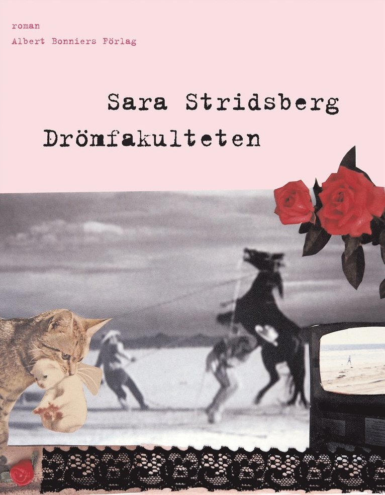 Sara Stridsberg - Drömfakulteten : tillägg till sexualteorin, Inbunden
