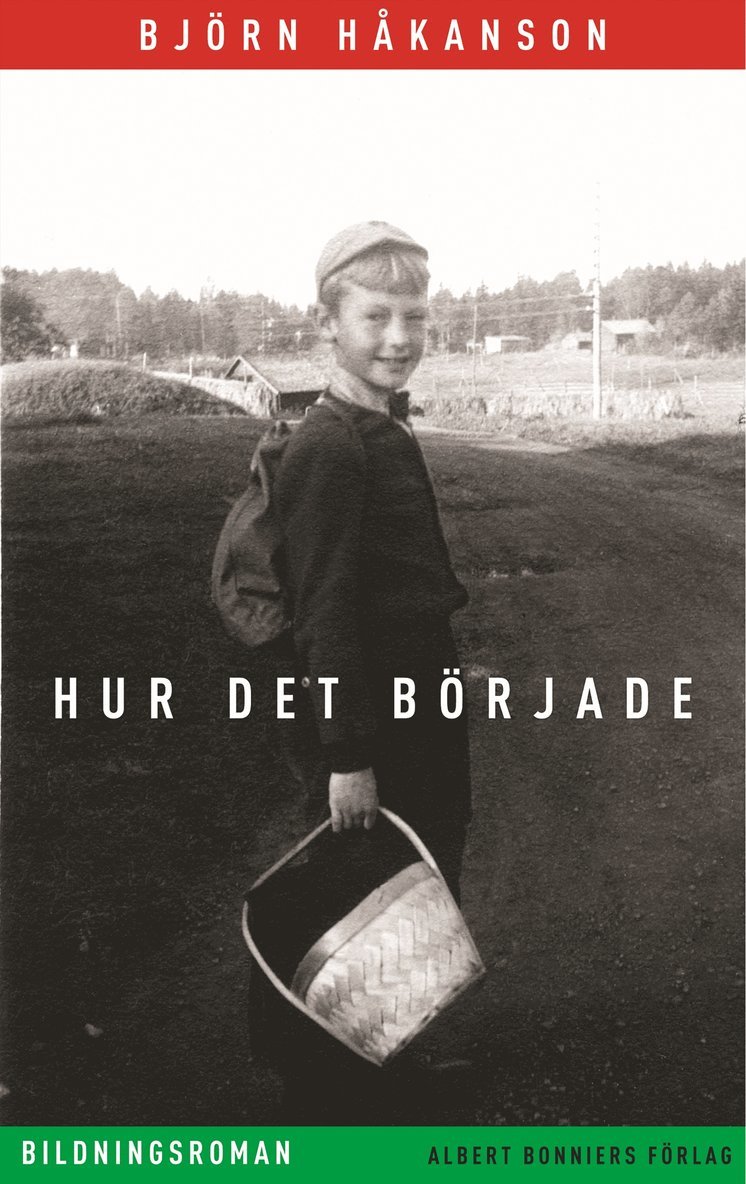 Björn Håkanson - Hur det började : bildningsroman, Inbunden