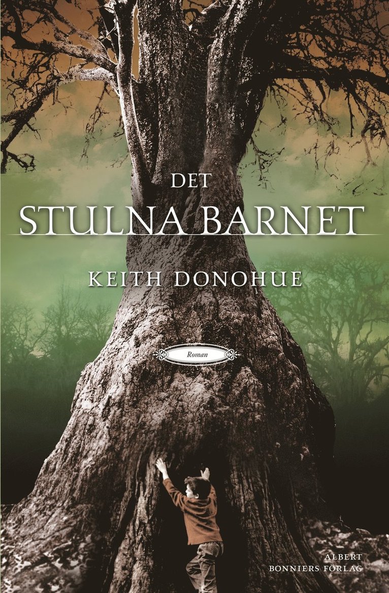 Keith Donohue - Det stulna barnet, Inbunden