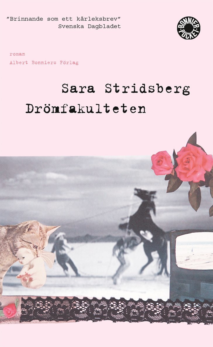 Sara Stridsberg - Drömfakulteten : tillägg till sexualteorin, Pocket