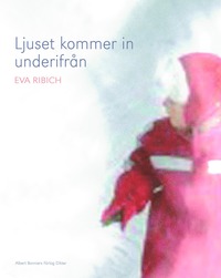 bokomslag Ljuset kommer in underifrån
