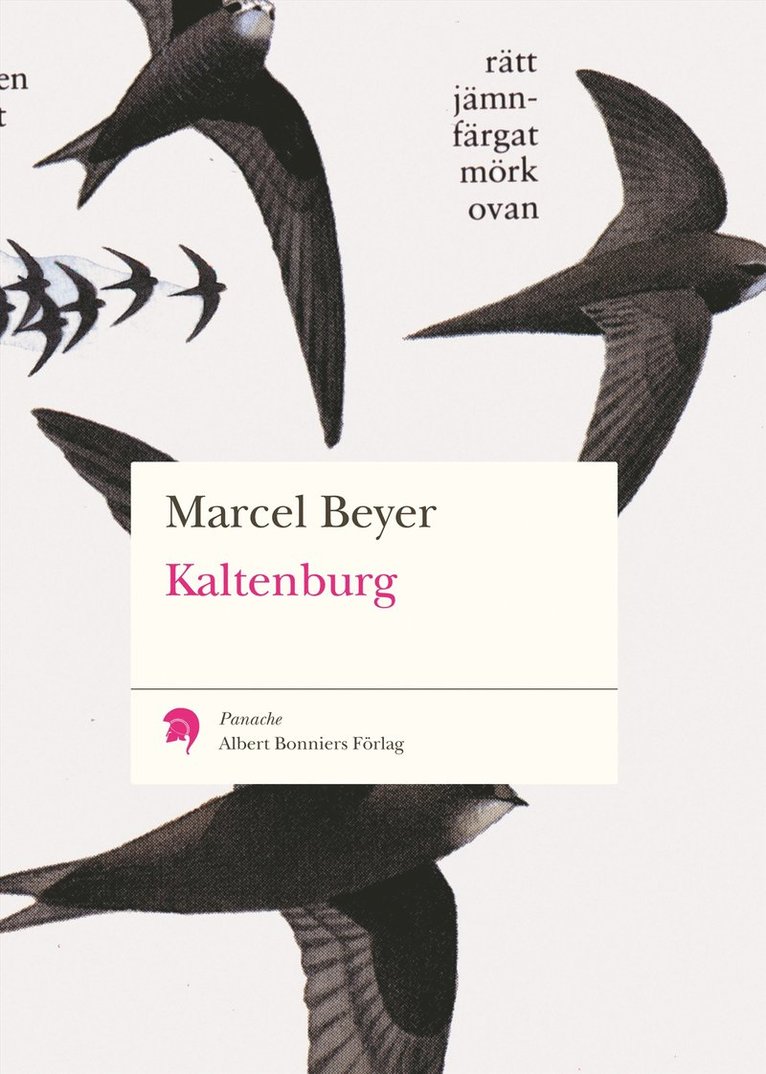 Marcel Beyer - Kaltenburg, Häftad