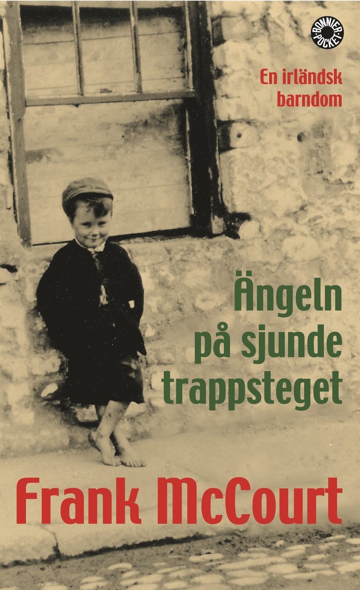 Ängeln på sjunde trappsteget : en irländsk barndom