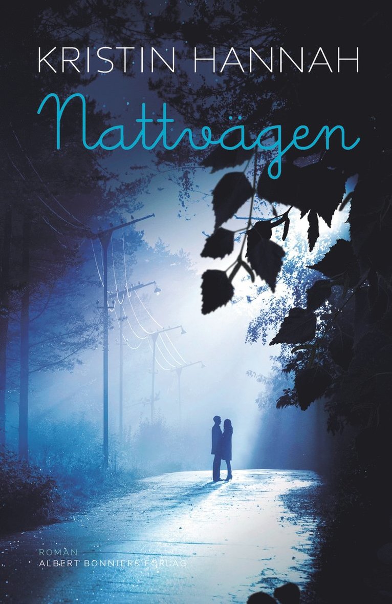 Kristin Hannah - Nattvägen, Inbunden