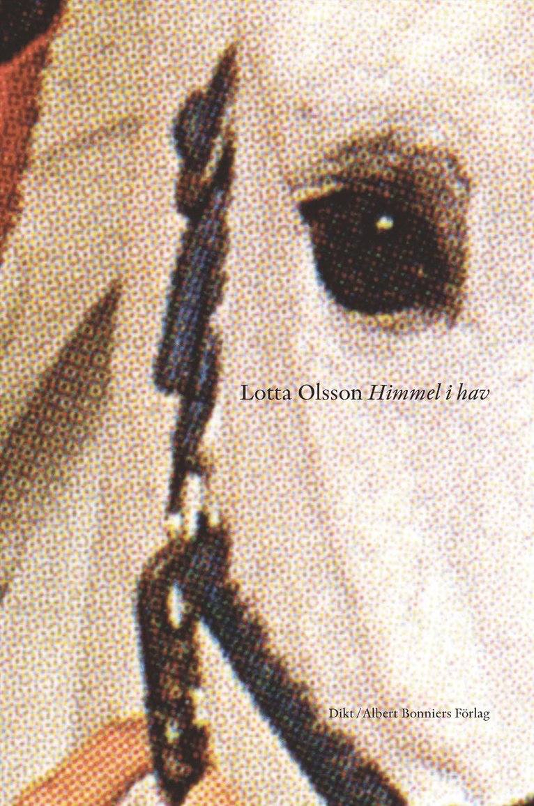 Lotta Olsson - Himmel i hav, Inbunden