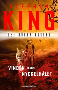 bokomslag Vinden genom nyckelhålet